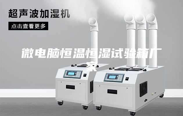 微電腦恒溫恒濕試驗(yàn)箱廠家