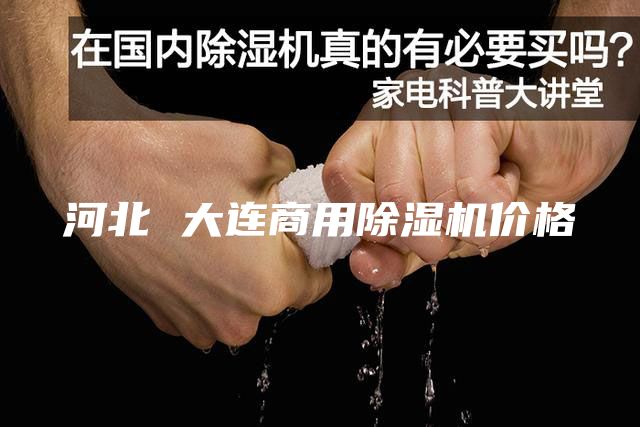 河北 大連商用除濕機(jī)價格