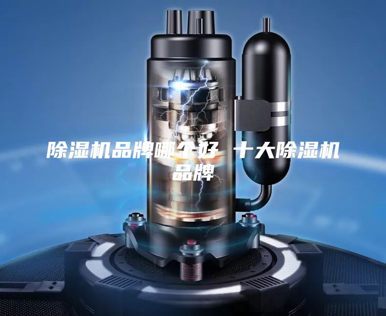 除濕機(jī)品牌哪個好 十大除濕機(jī)品牌