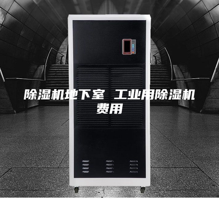 除濕機(jī)地下室 工業(yè)用除濕機(jī)費(fèi)用