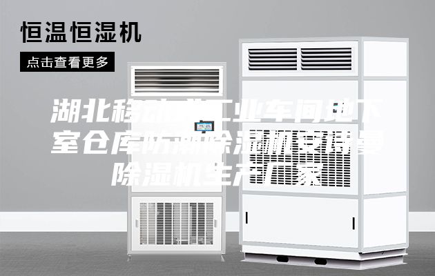 湖北移動式工業車間地下室倉庫防潮除濕機安詩曼除濕機生產廠家