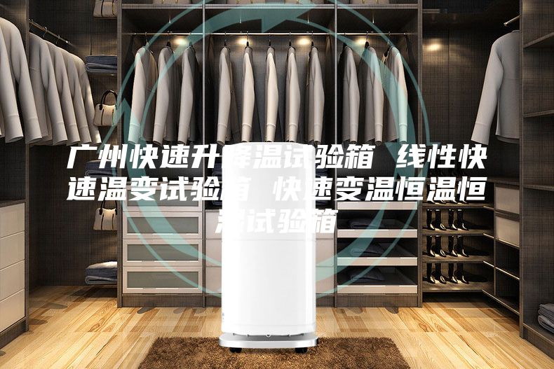 廣州快速升降溫試驗(yàn)箱 線性快速溫變?cè)囼?yàn)箱 快速變溫恒溫恒濕試驗(yàn)箱