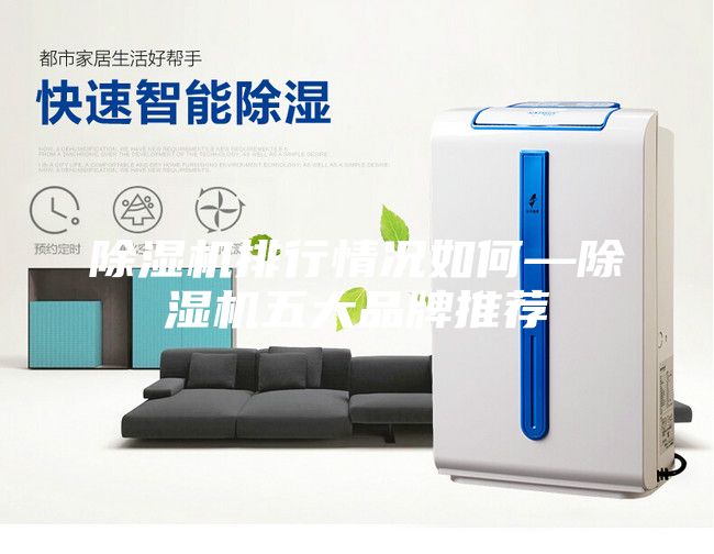 除濕機(jī)排行情況如何—除濕機(jī)五大品牌推薦