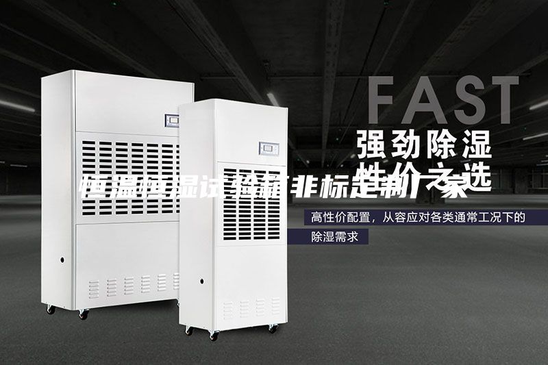 恒溫恒濕試驗箱非標(biāo)定制廠家