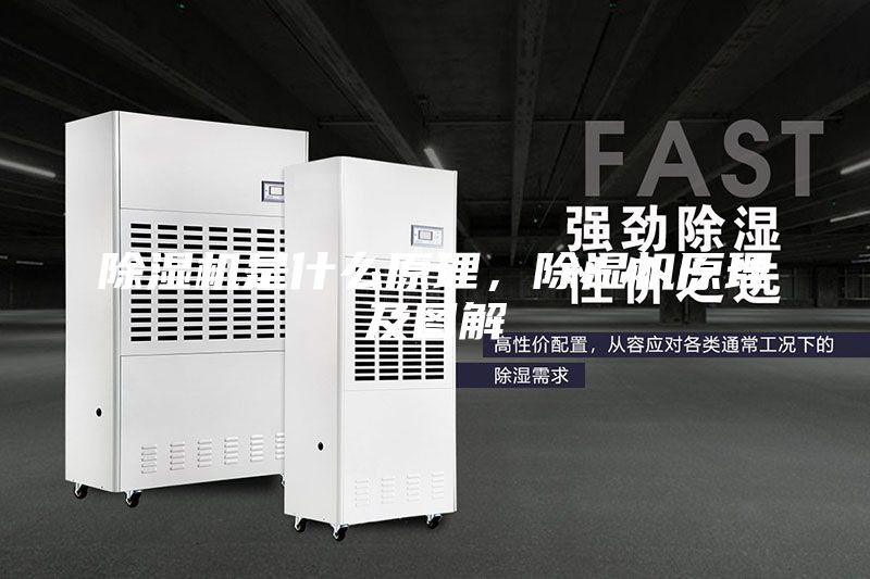 除濕機是什么原理,除濕機原理及圖解