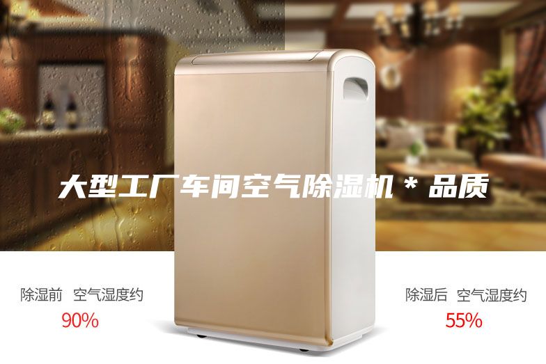 大型工廠車間空氣除濕機*品質