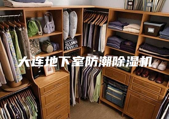 大連地下室防潮除濕機(jī)