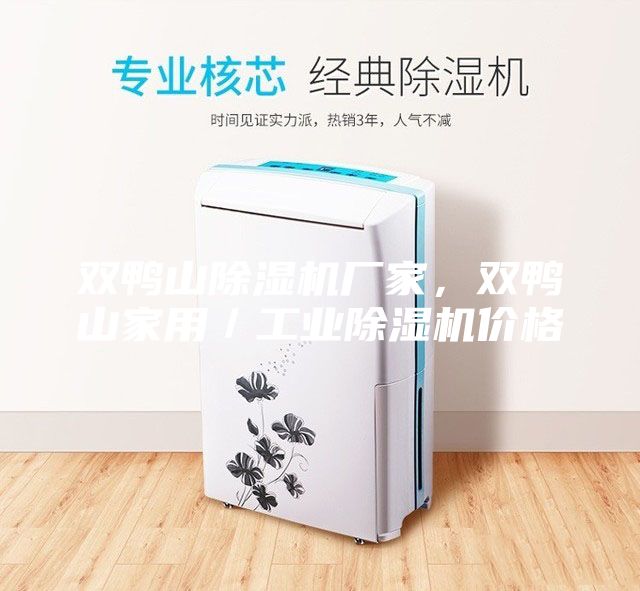 雙鴨山除濕機廠家，雙鴨山家用／工業除濕機價格