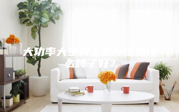 大功率大空間工業(yè)除濕機什么牌子好？