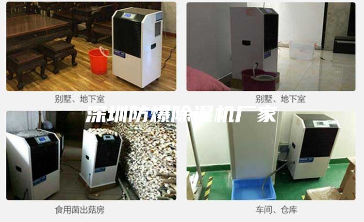 深圳防爆除濕機廠家