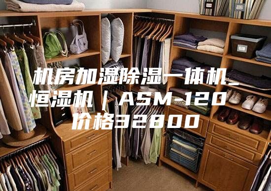 機(jī)房加濕除濕一體機(jī)_恒濕機(jī)|ASM-120 價(jià)格32800