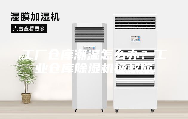工廠(chǎng)倉(cāng)庫(kù)潮濕怎么辦?工業(yè)倉(cāng)庫(kù)除濕機(jī)拯救你