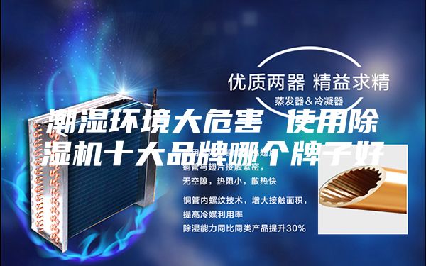 潮濕環境大危害 使用除濕機十大品牌哪個牌子好
