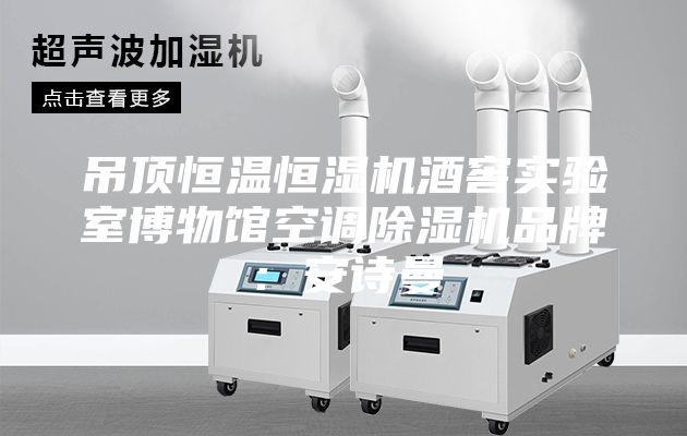 吊頂恒溫恒濕機酒窖實驗室博物館空調除濕機品牌:安詩曼