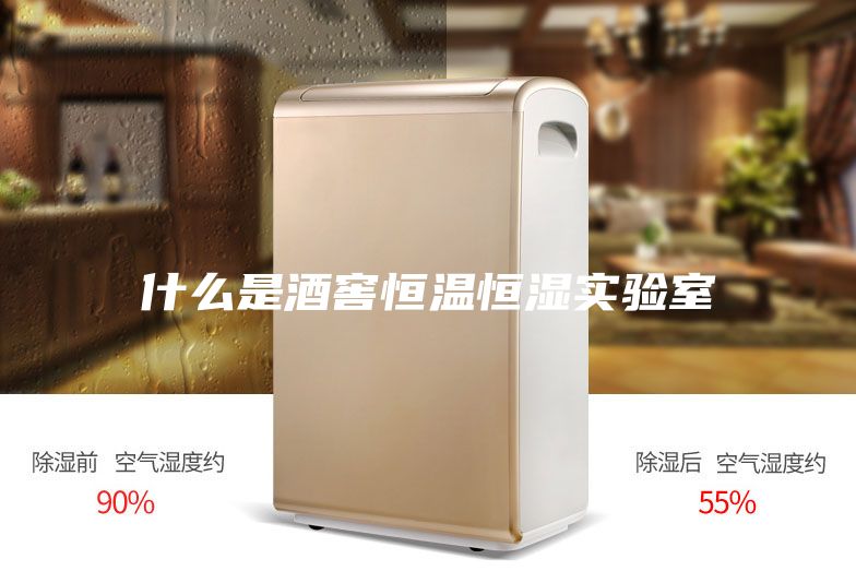 什么是酒窖恒溫恒濕實(shí)驗(yàn)室