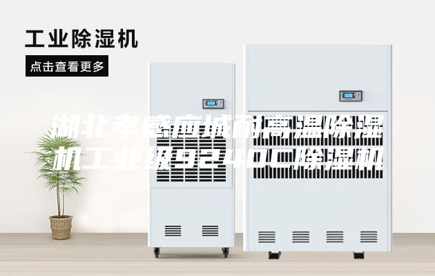 湖北孝感應(yīng)城耐高溫除濕機工業(yè)級9240C除濕機