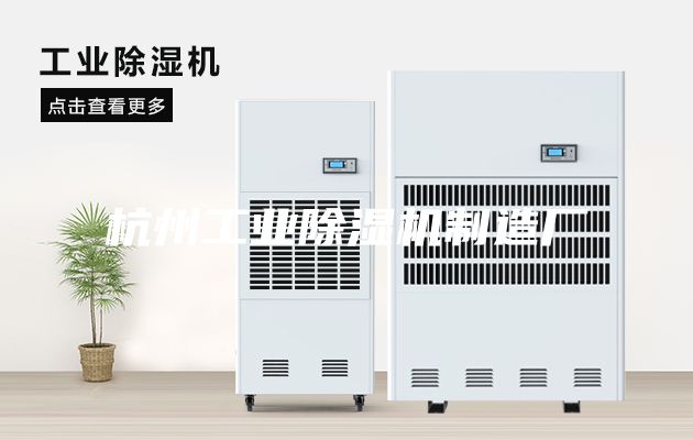 杭州工業(yè)除濕機(jī)制造廠