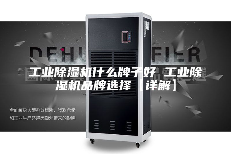 工業(yè)除濕機(jī)什么牌子好 工業(yè)除濕機(jī)品牌選擇【詳解】