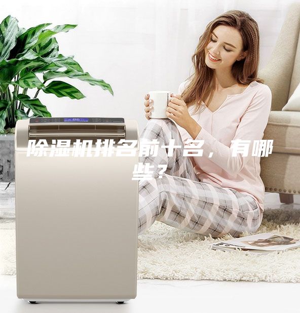 除濕機(jī)排名前十名，有哪些？
