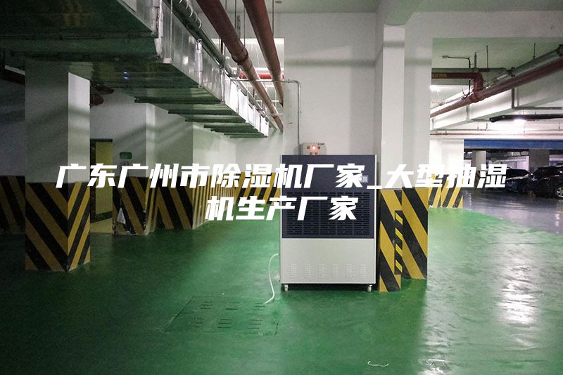 廣東廣州市除濕機廠家_大型抽濕機生產(chǎn)廠家