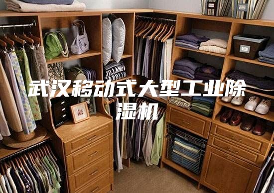 武漢移動式大型工業(yè)除濕機