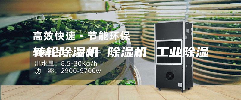 轉輪除濕機 除濕機 工業除濕