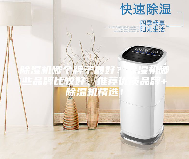 除濕機哪個牌子最好？除濕機哪些品牌比較好，推薦優質品牌+除濕機精選！