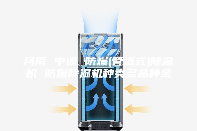 河南 中通 防爆(管道式)除濕機 防爆除濕機種類多品種全