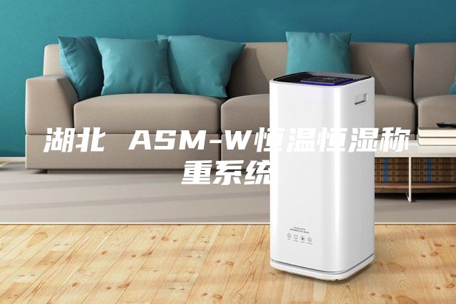 湖北 ASM-W恒溫恒濕稱重系統