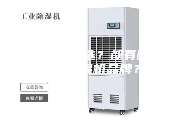 除濕機怎么選？都有哪些好的除濕機品牌？