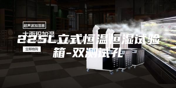 225L立式恒溫恒濕試驗箱-雙測試孔