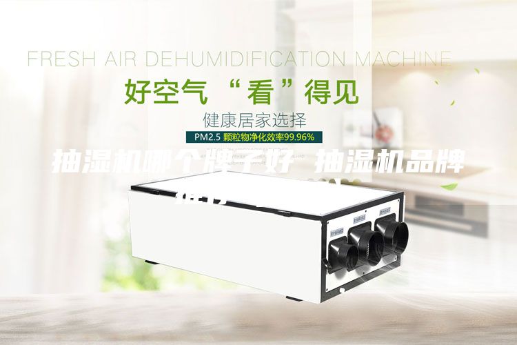 抽濕機(jī)哪個(gè)牌子好 抽濕機(jī)品牌推薦【詳解】