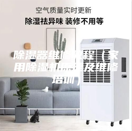 除濕器維修教程（家用除濕機(jī)原理及維修培訓(xùn)）