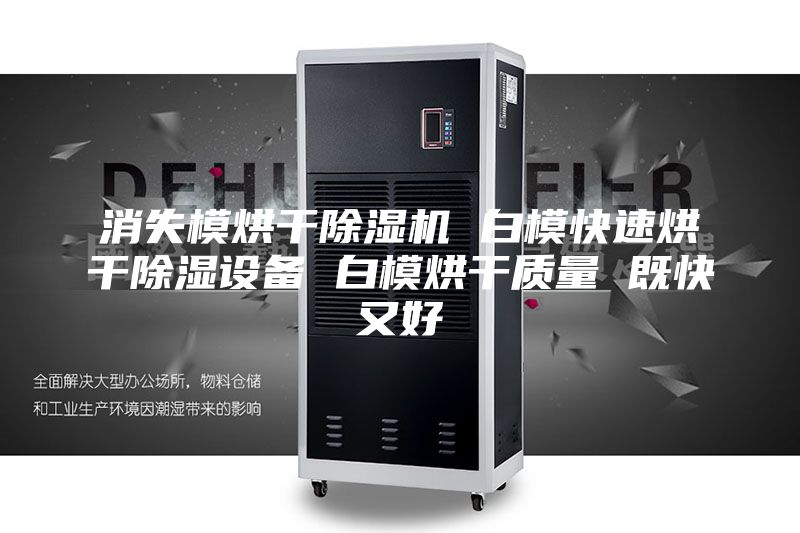 消失模烘干除濕機 白模快速烘干除濕設備 白模烘干質(zhì)量 既快又好