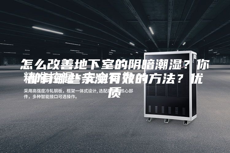 怎么改善地下室的陰暗潮濕？你都有哪些親測有效的方法？優質