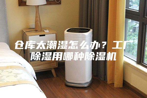 倉庫太潮濕怎么辦？工廠除濕用哪種除濕機