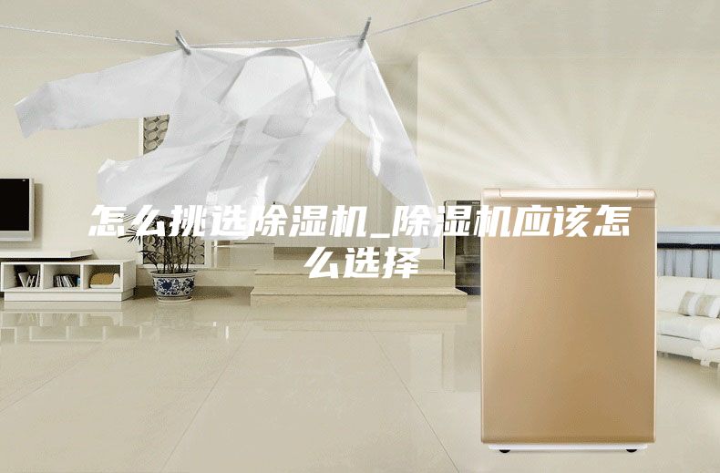 怎么挑選除濕機(jī)_除濕機(jī)應(yīng)該怎么選擇
