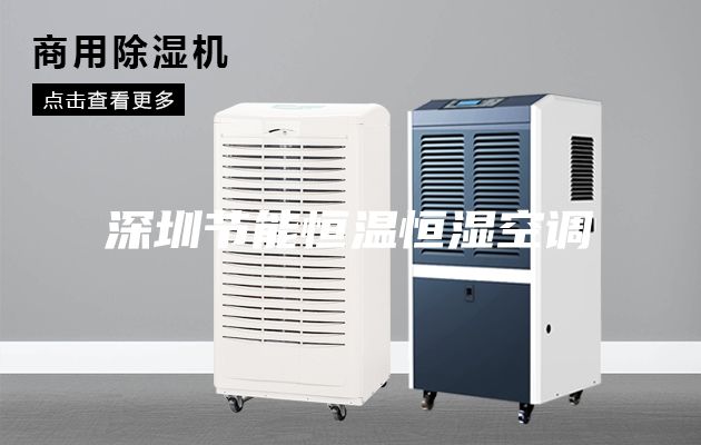 深圳節(jié)能恒溫恒濕空調(diào)
