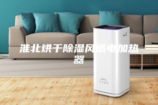 淮北烘干除濕風(fēng)道電加熱器