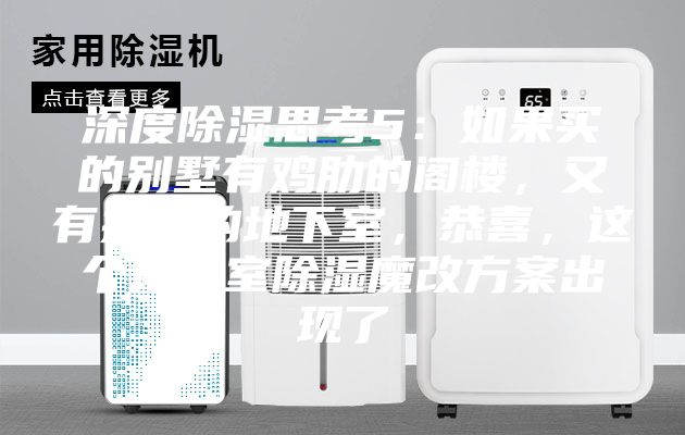 深度除濕思考5：如果買的別墅有雞肋的閣樓，又有操心的地下室，恭喜，這個(gè)地下室除濕魔改方案出現(xiàn)了