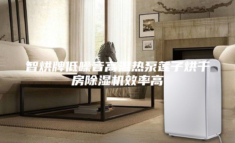 智烘牌低噪音高溫?zé)岜蒙徸雍娓煞砍凉駲C效率高