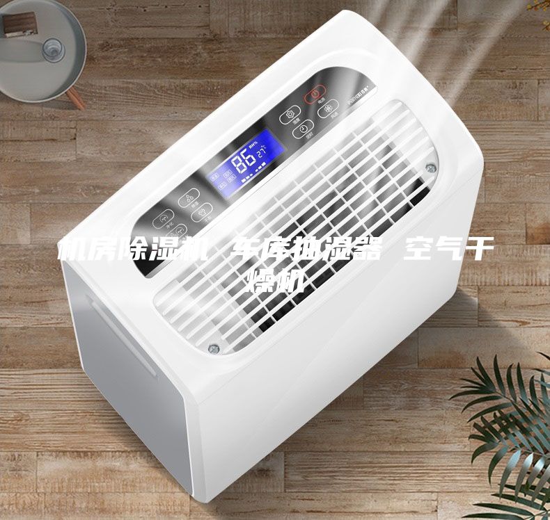 機(jī)房除濕機(jī) 車庫抽濕器 空氣干燥機(jī)