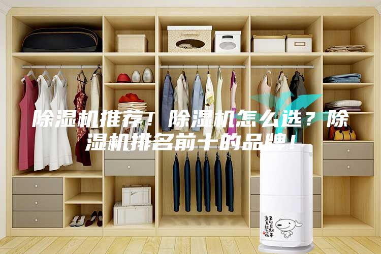 除濕機(jī)推薦！除濕機(jī)怎么選？除濕機(jī)排名前十的品牌！