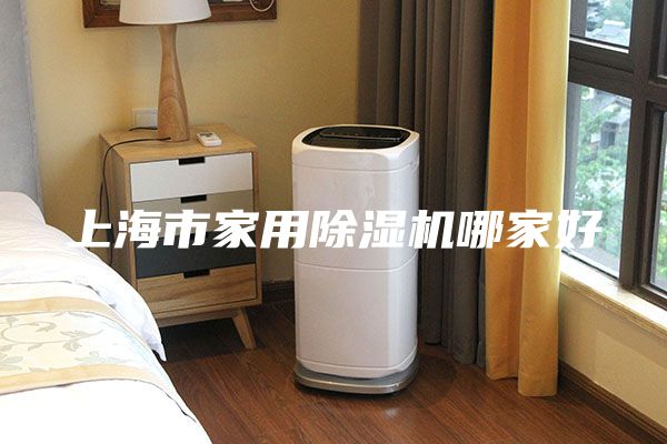 上海市家用除濕機(jī)哪家好