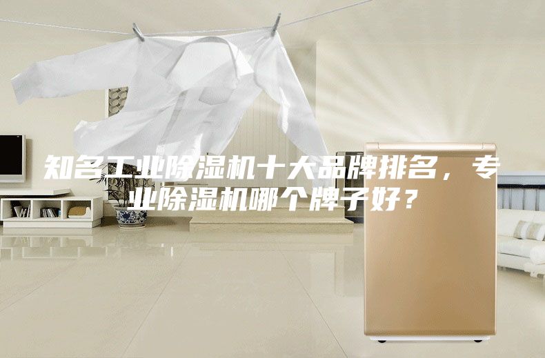 知名工業(yè)除濕機(jī)十大品牌排名，專業(yè)除濕機(jī)哪個牌子好？