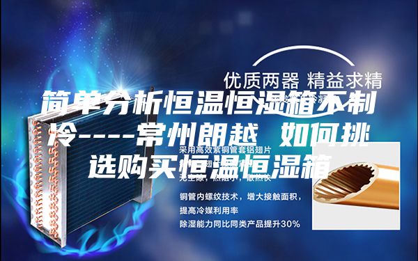 簡(jiǎn)單分析恒溫恒濕箱不制冷----常州朗越 如何挑選購(gòu)買恒溫恒濕箱