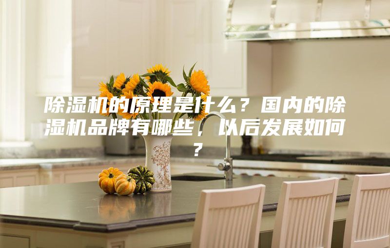 除濕機的原理是什么？國內的除濕機品牌有哪些，以后發(fā)展如何？