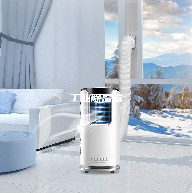 工業(yè)除濕器