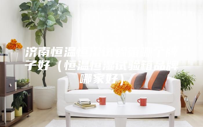 濟(jì)南恒溫恒濕試驗(yàn)箱哪個牌子好（恒溫恒濕試驗(yàn)箱品牌哪家好）