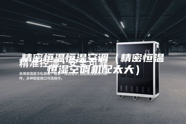 精密恒溫恒濕空調(精密恒溫恒濕空調機配太大)